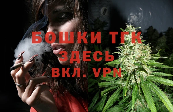 крисы Баксан