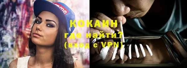 крисы Баксан