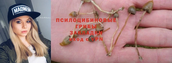 стаф Снежинск