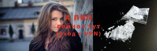 крисы Баксан