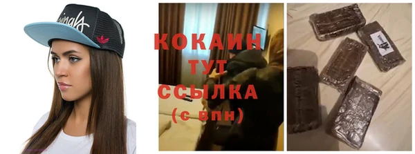 крисы Баксан