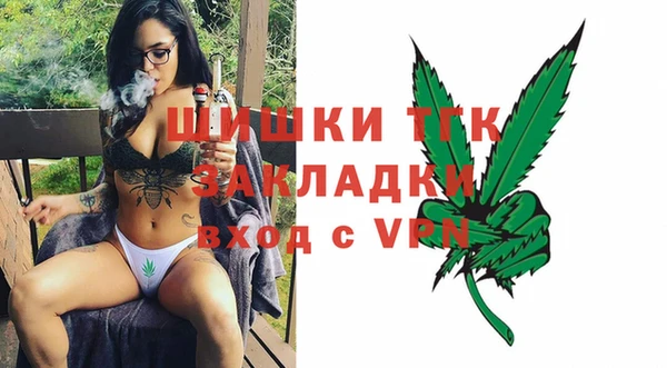 крисы Баксан