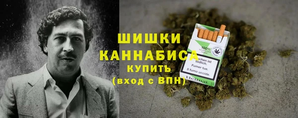 стаф Снежинск